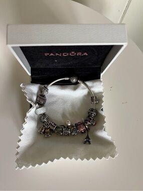 Pandora Silver Charm Bracelet with 14  Charms Bundle